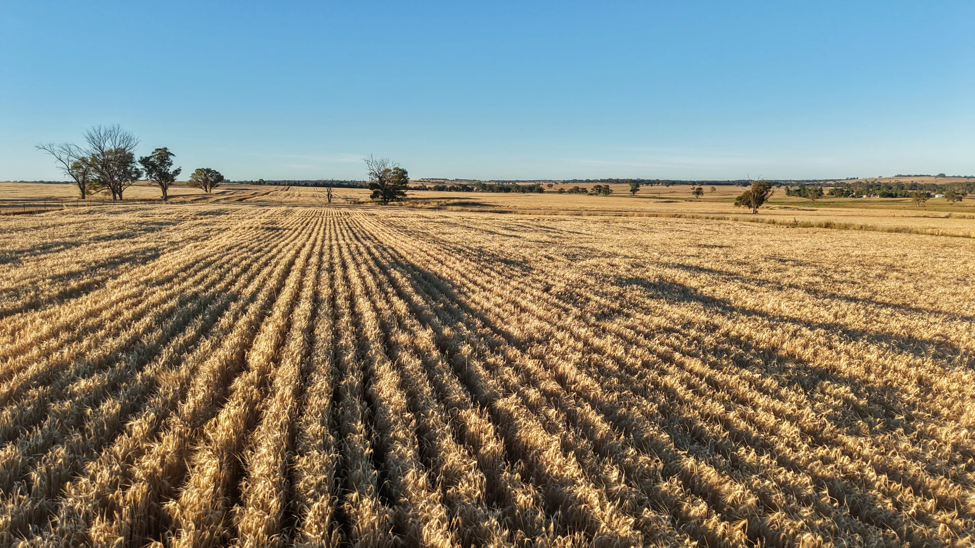 Additional image 2 of The Ranch 27R Plain Creek Road, Wongarbon NSW 2831