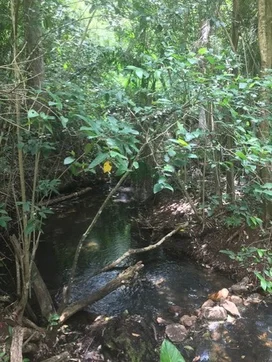 Additional image 5 of Ravensbourne QLD 4352