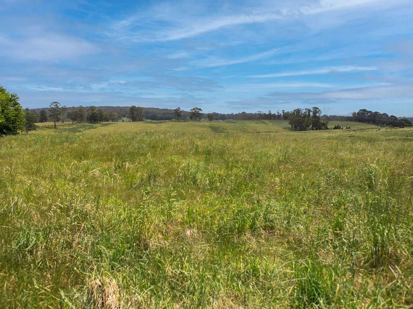 Additional image 15 of 746 Sheepwash Road, Avoca NSW 2577