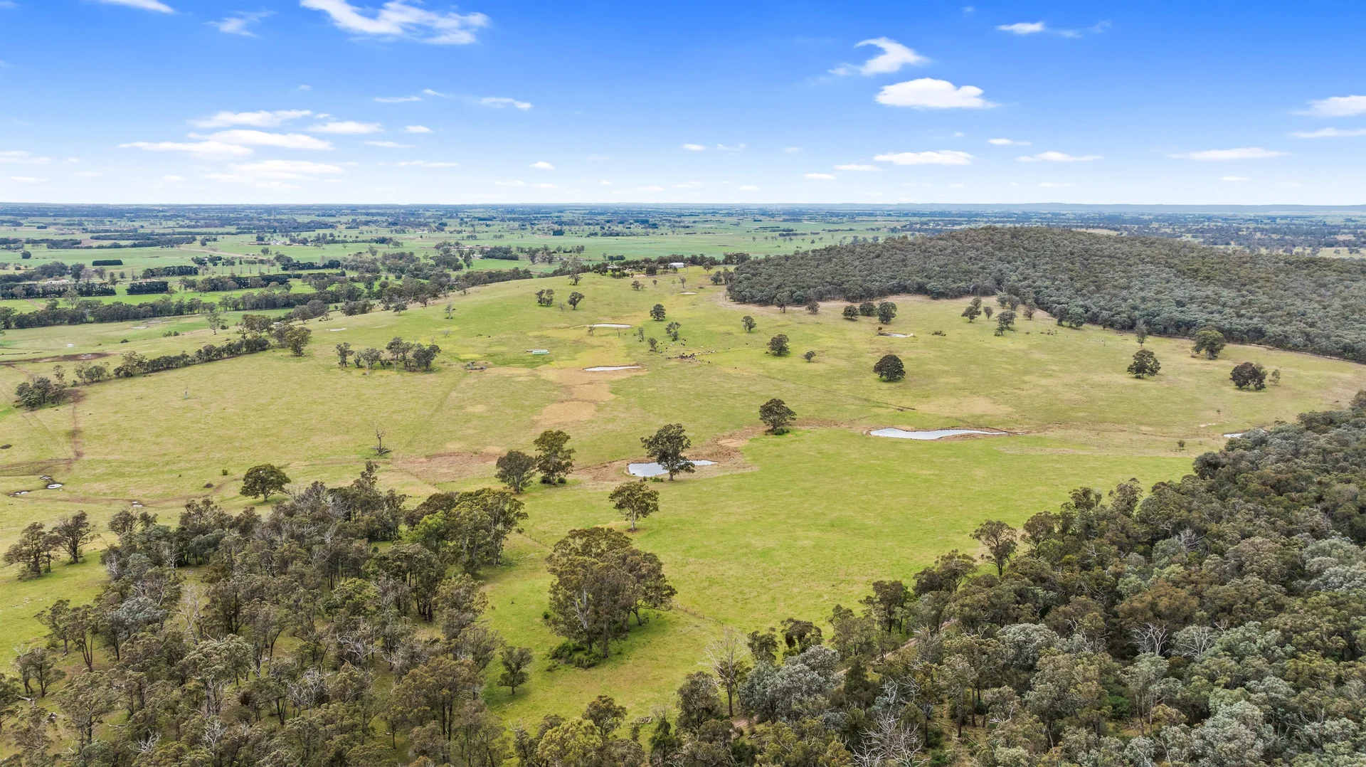 Additional image 10 of 18 Clynes Road, Tinamba West VIC 3859