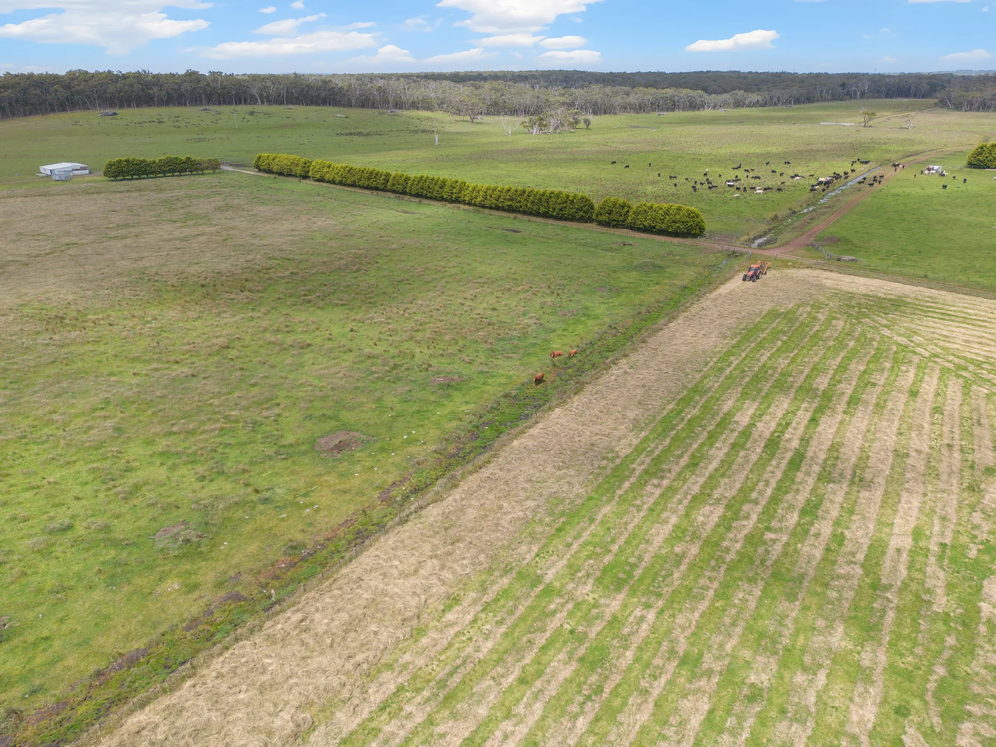 Additional image 7 of 931 Gorae Road, Gorae VIC 3305