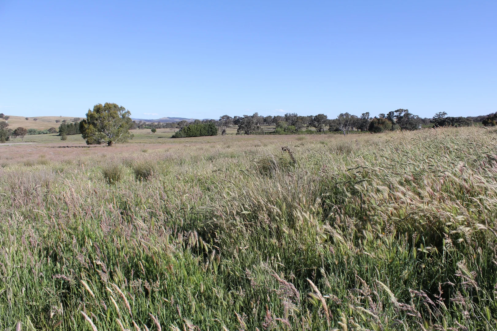 Additional image 14 of 48 & 98/413 Flacknell Creek Road, Gunning NSW 2581