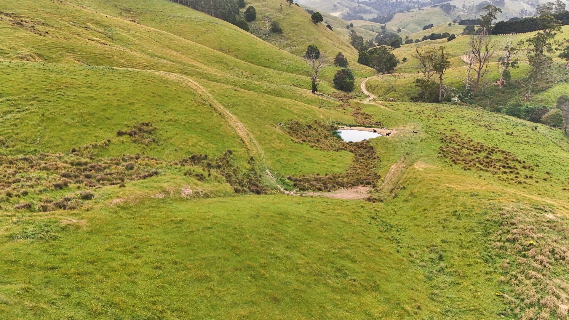 Additional image 9 of 160 Hollins Road, Trida VIC 3953