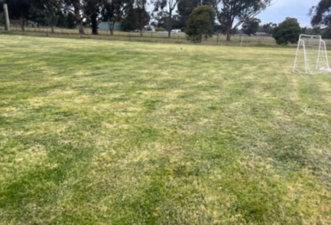 Additional image 23 of 22-24 Bidgee Street, Wagga Wagga NSW 2650