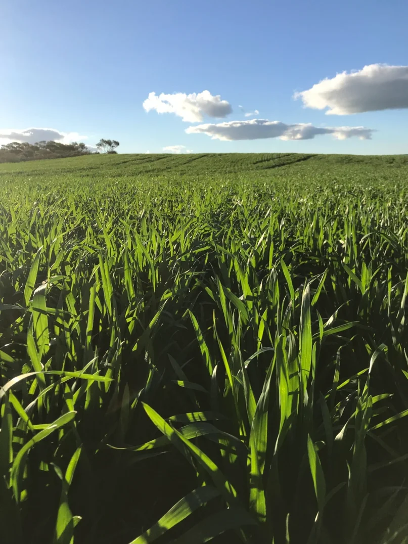 Additional image 4 of Valentine Road, Wicherina WA 6532