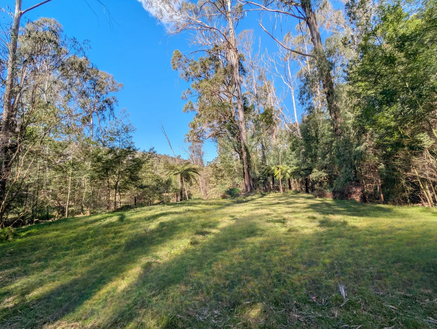 Additional image 27 of 115 Gulph Creek Road, Nerrigundah NSW 2545