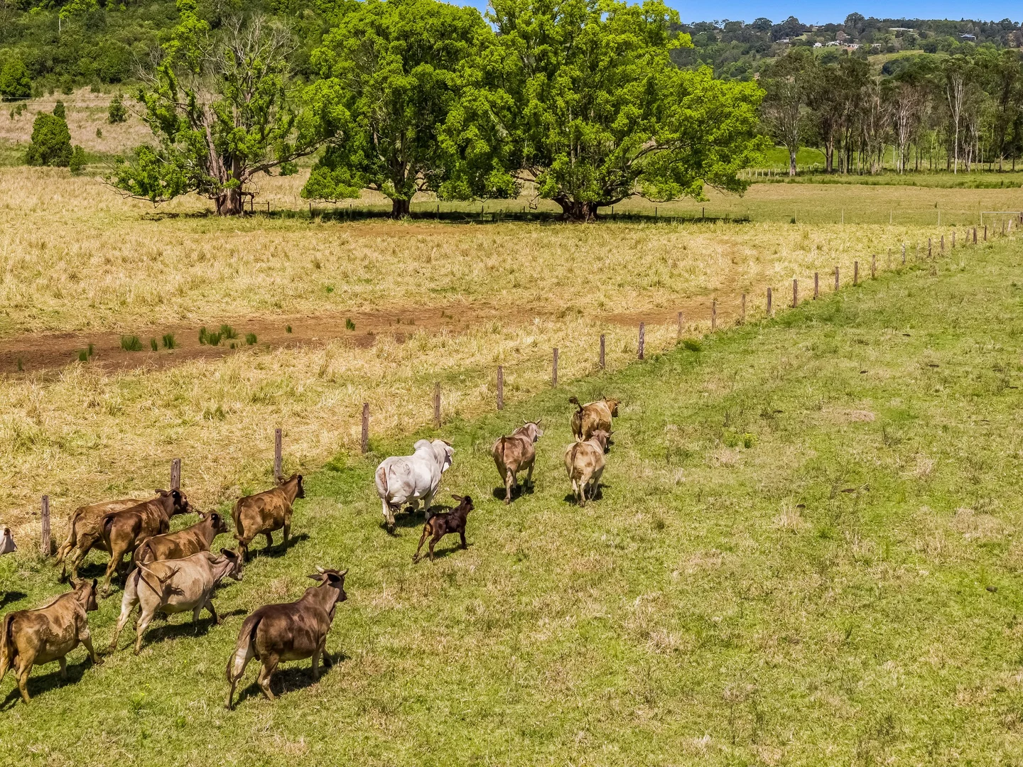 Additional image 26 of 621A Boatharbour Road, Eltham NSW 2480