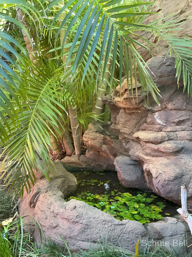 Additional image 25 of 42 Galah Street, Longreach QLD 4730