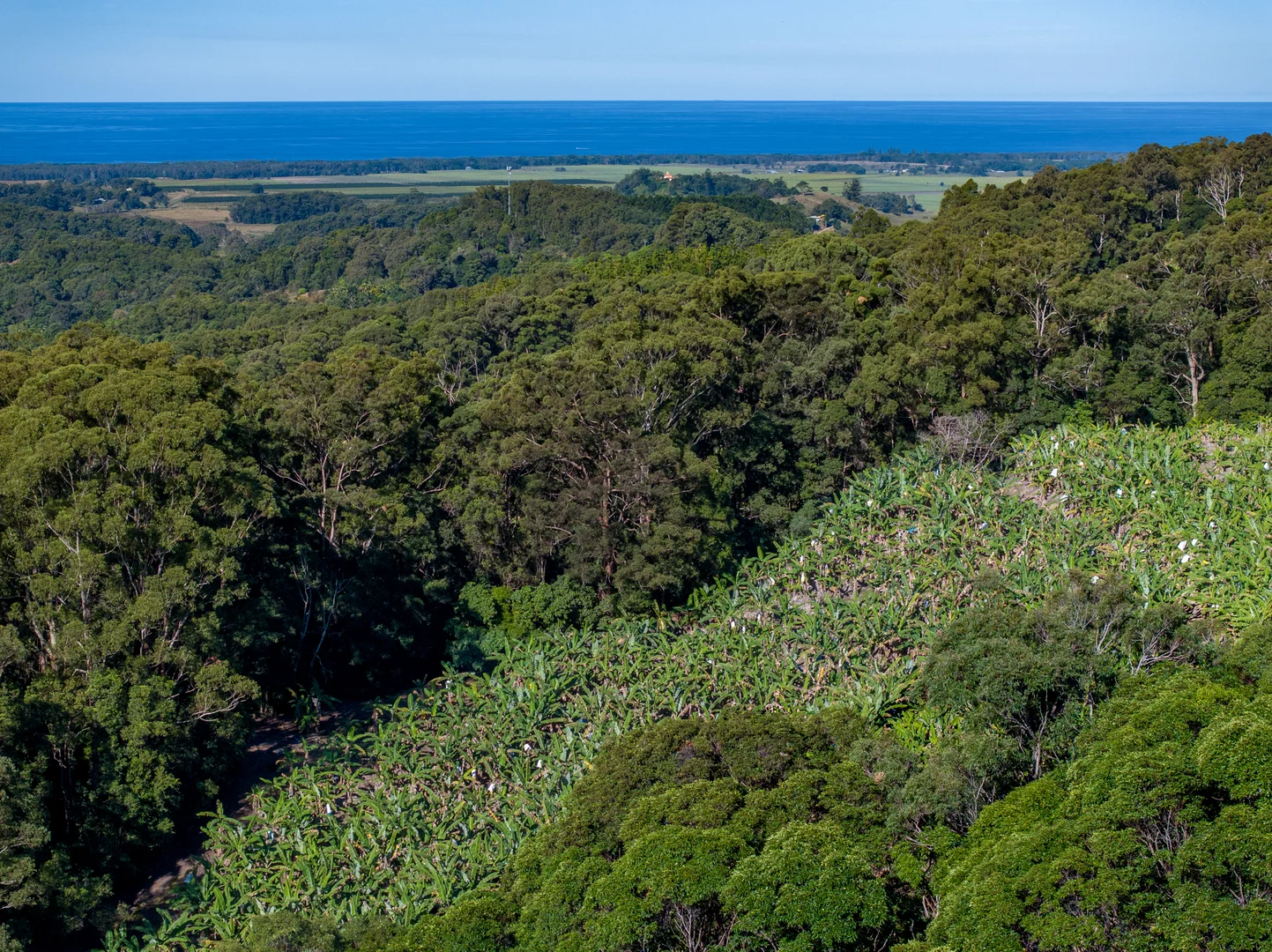 Additional image 39 of Sleepy Hollow NSW 2483