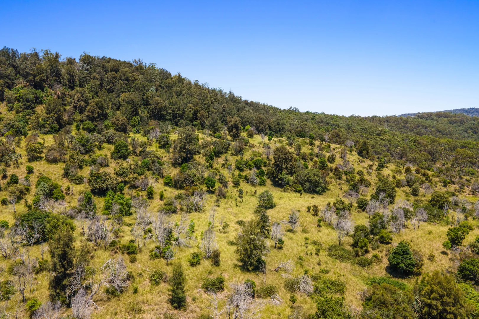 Additional image 10 of Lot 31 Dolleys Road, Withcott QLD 4352