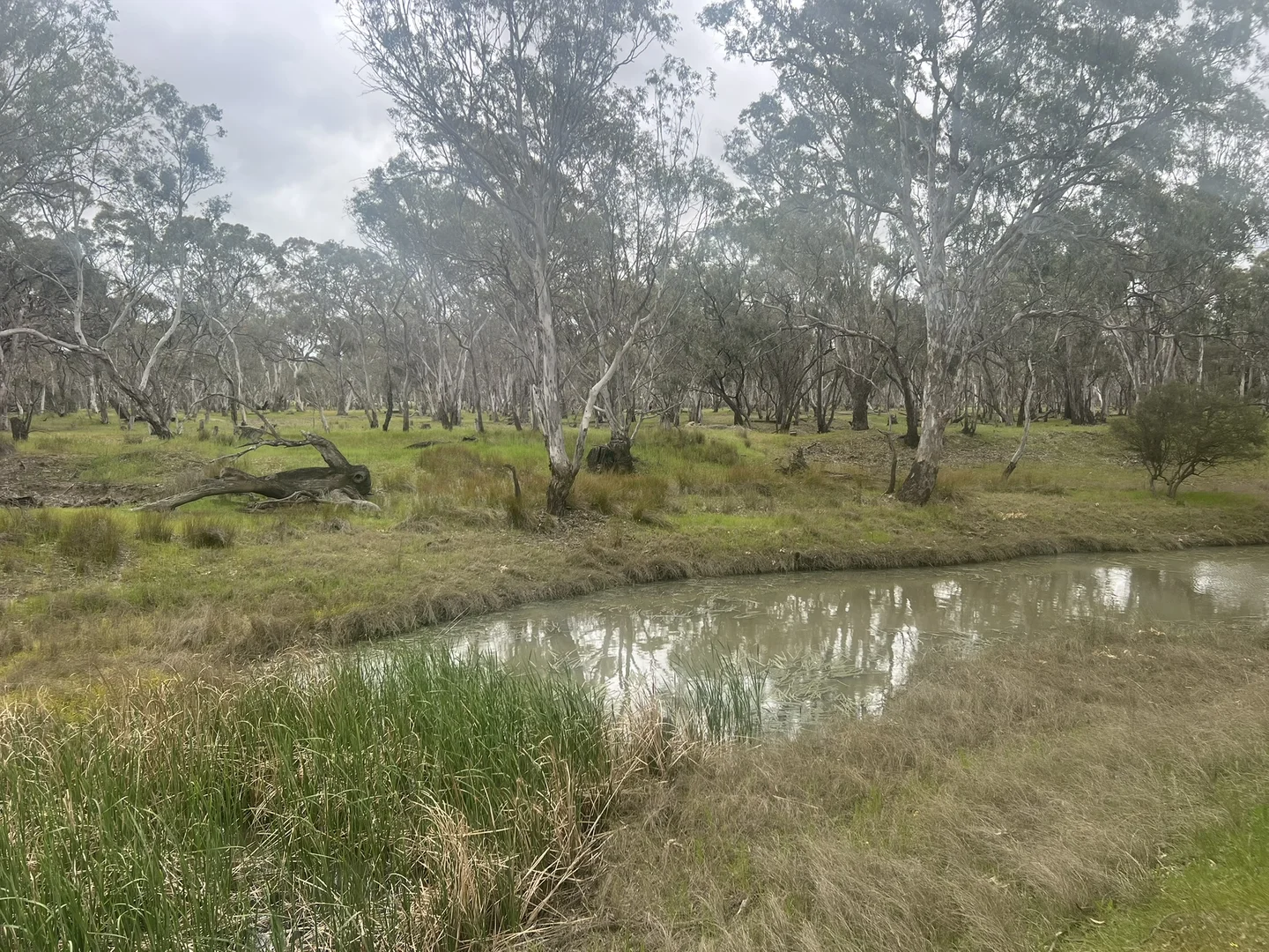 Additional image 6 of Lot 1 Lanes Avenue, Quantong VIC 3401