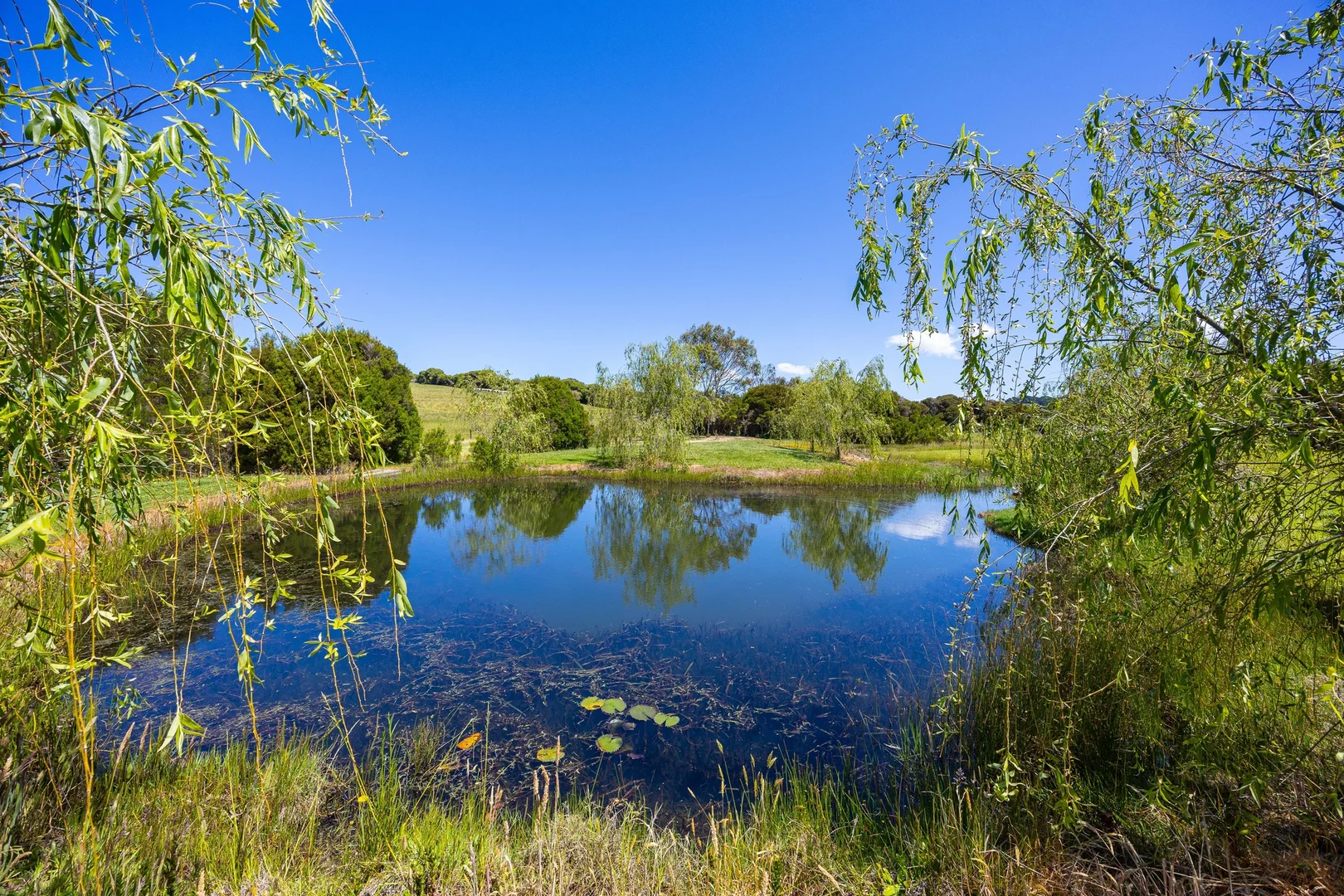 Additional image 20 of 2150 Mornington-Flinders Road, Flinders VIC 3929