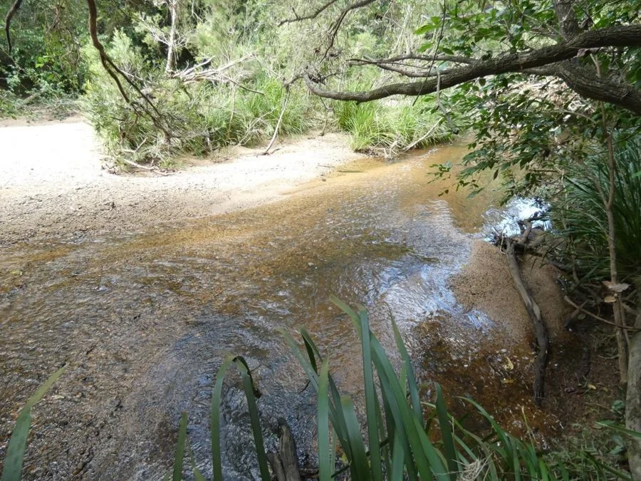 Additional image 3 of 397 Mollenhagens Road, Rosedale QLD 4674