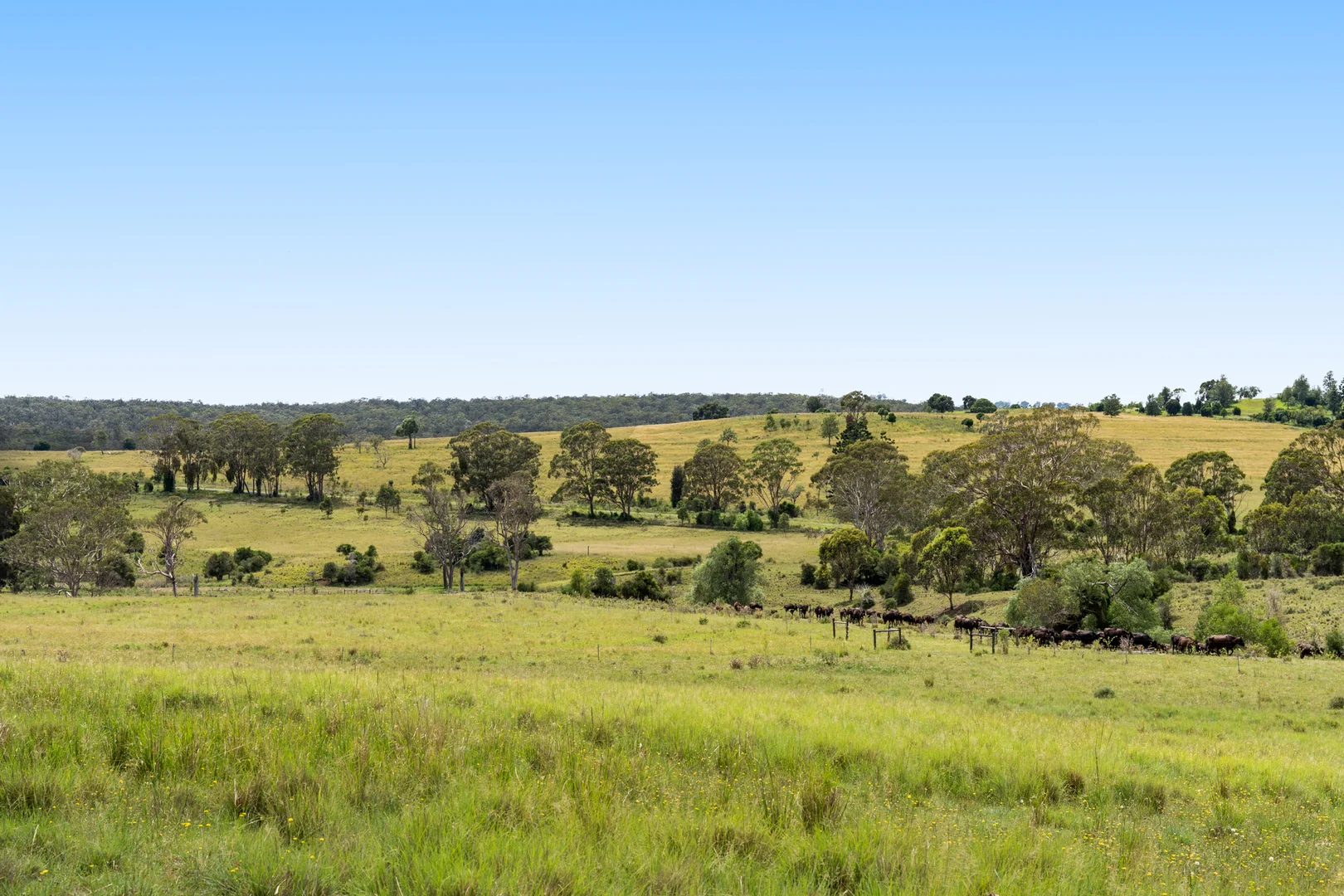 Additional image 16 of 138 Djuan Road, Crows Nest QLD 4355