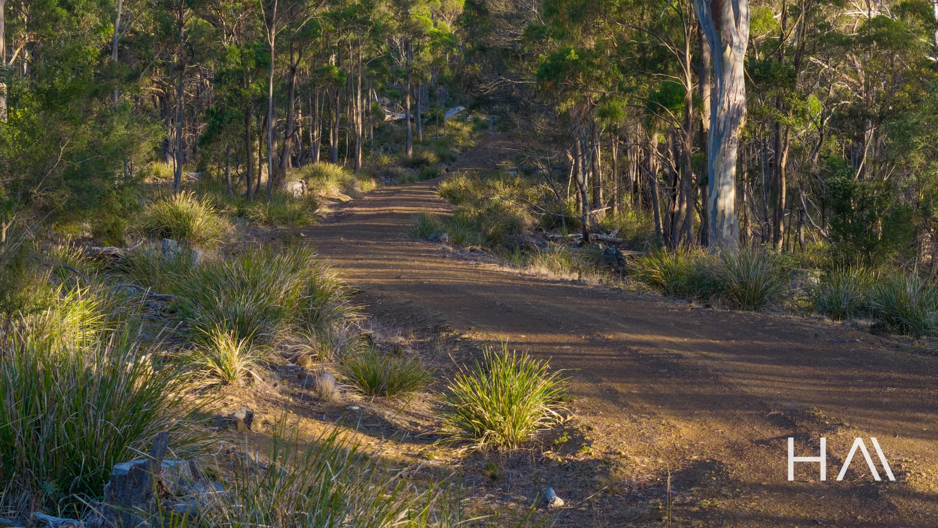 Additional image 5 of 200 Loriwood Drive, Turners Marsh TAS 7267