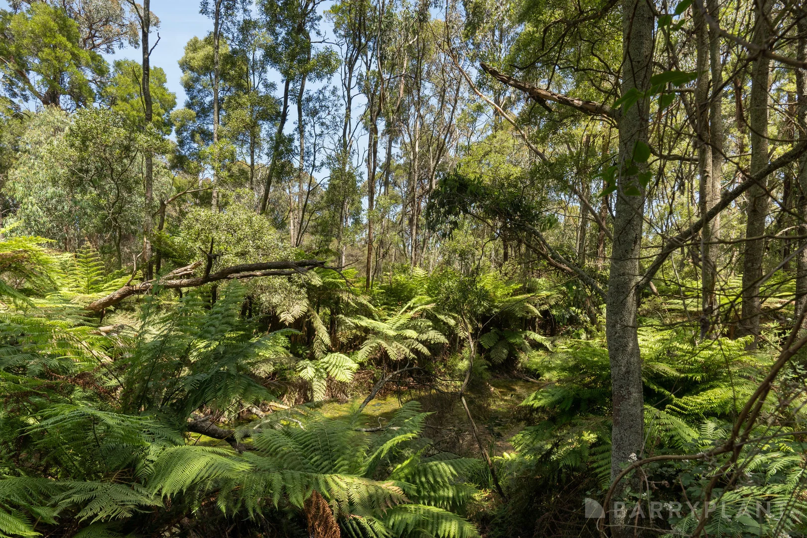 Additional image 26 of 81 Jardine Road, Macclesfield VIC 3782