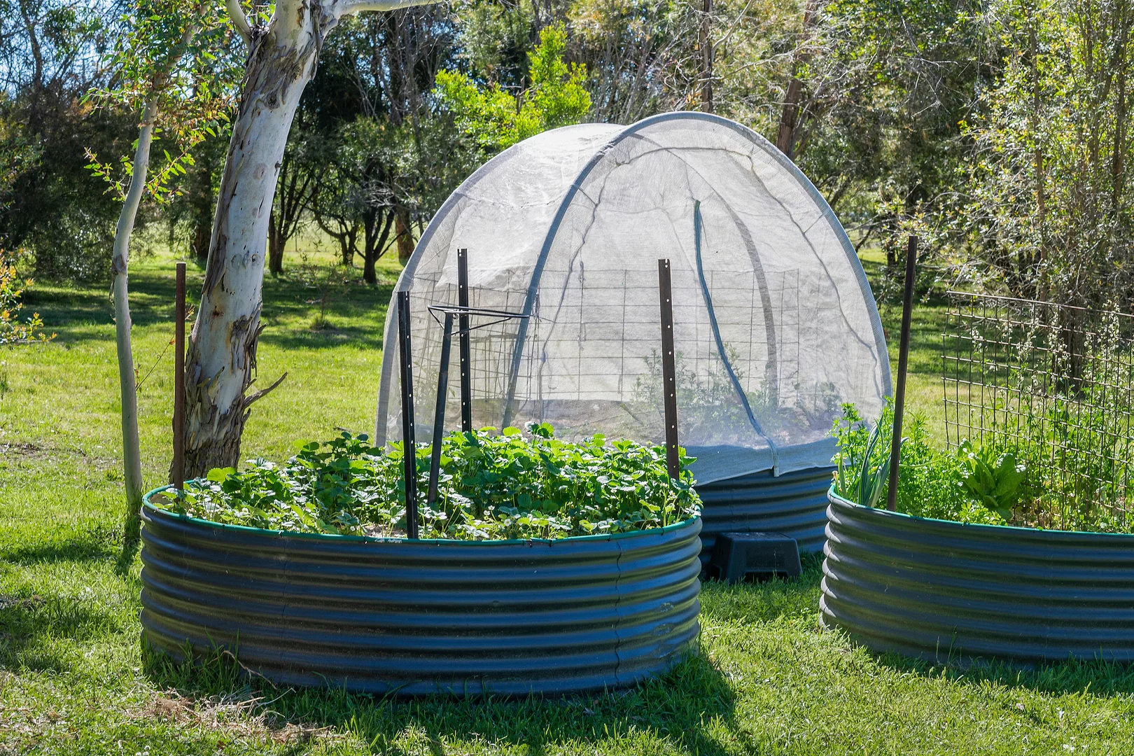 Additional image 37 of 630 Wombeyan Caves Road, High Range NSW 2575