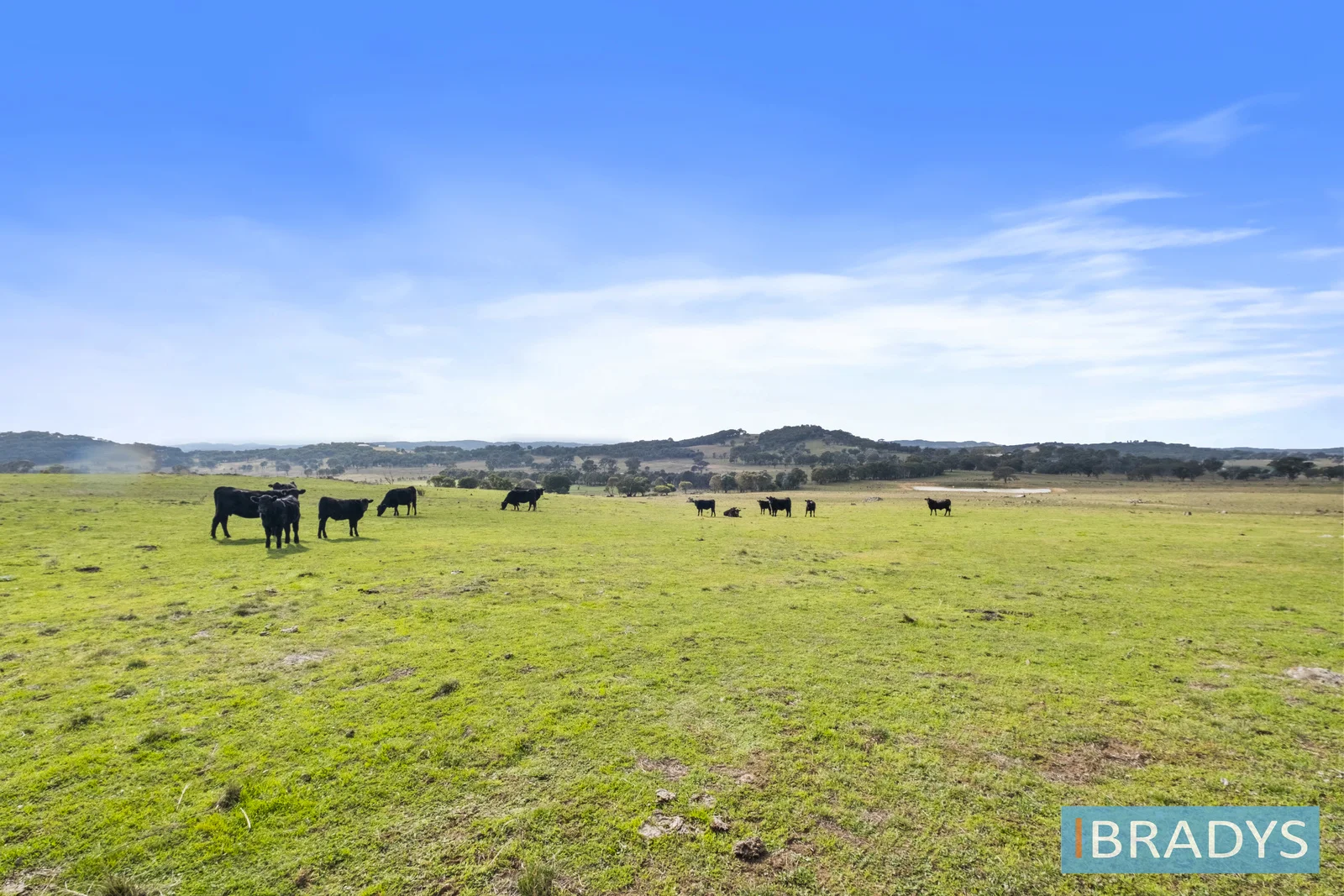 Additional image 6 of 3/157 Olleys Gate Lane, Nanima NSW 2582