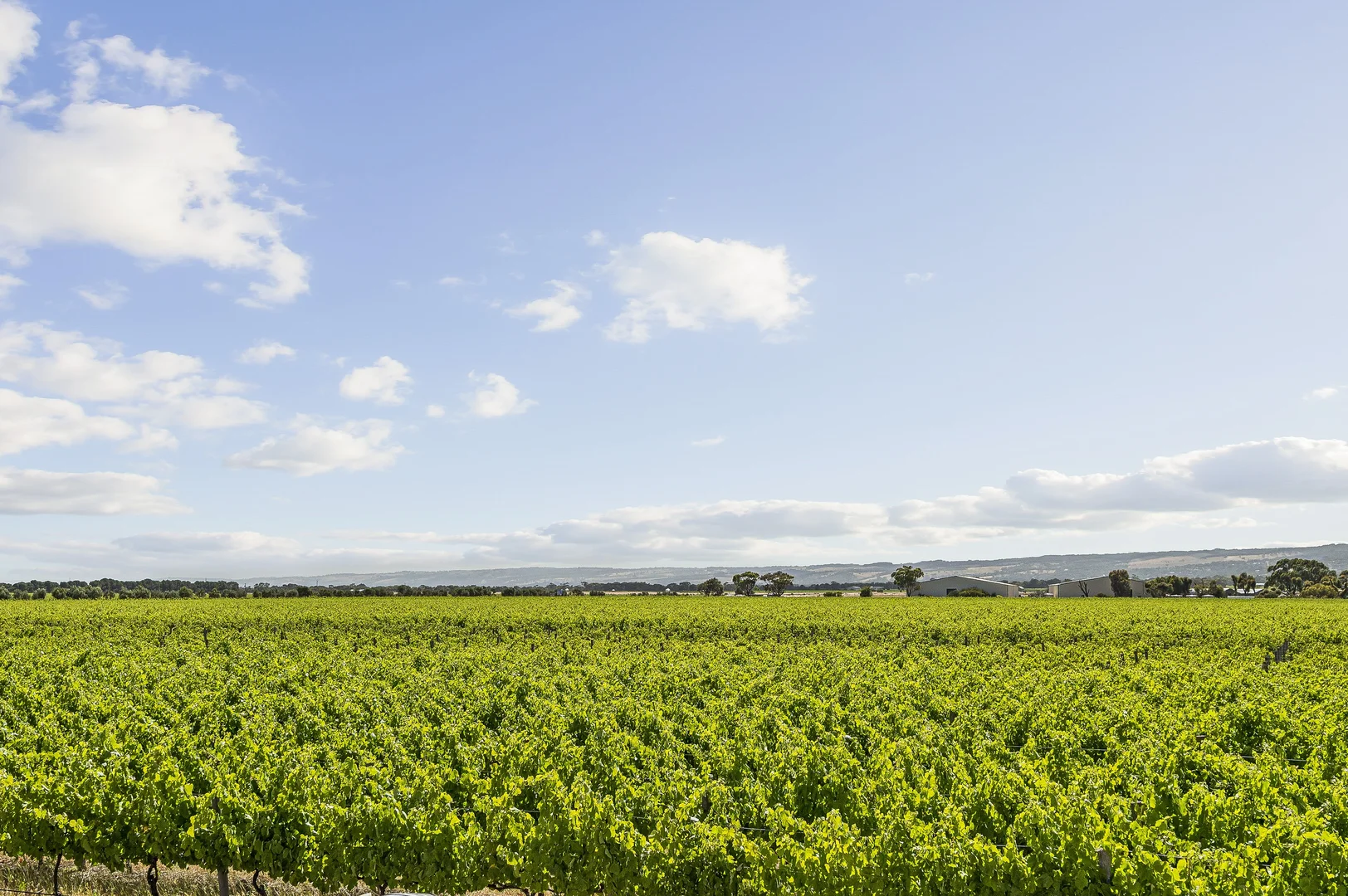 Additional image 14 of Lot 2 Plains Road, Aldinga SA 5173