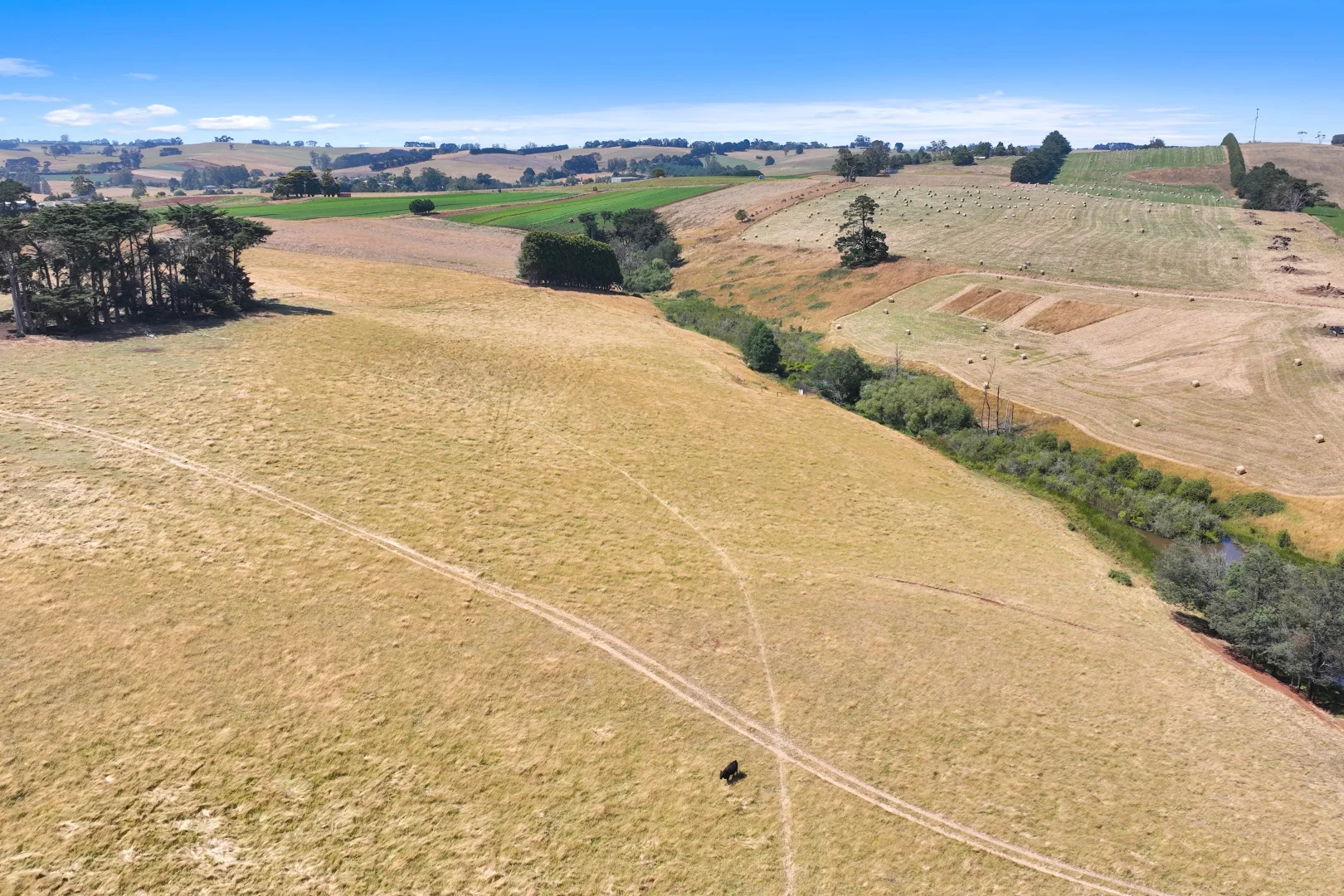 Additional image 11 of Lot 2/107 Cooks Road, Thorpdale VIC 3835