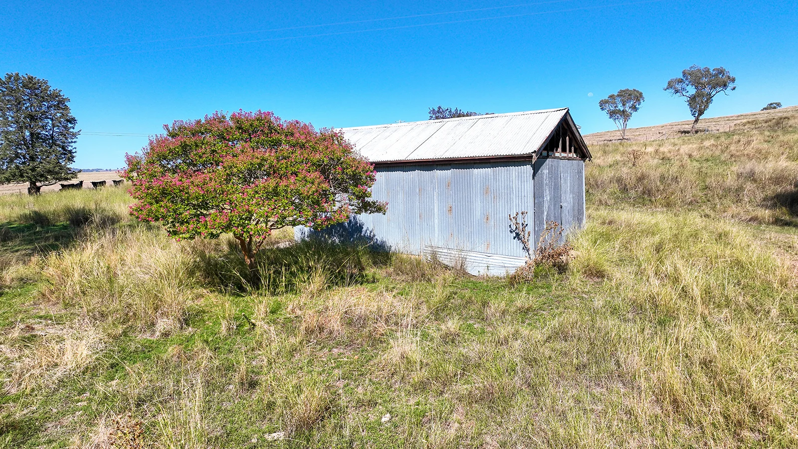 Additional image 35 of 322 Tongues Lane, Tamworth NSW 2340
