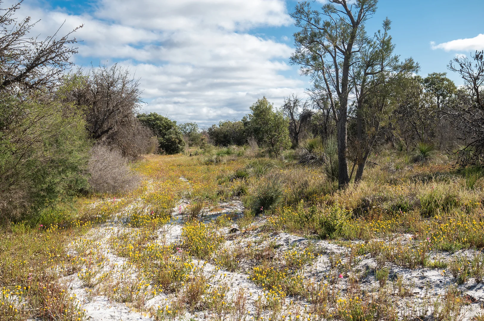 Additional image 14 of 3691 Duffy Road, Bambun WA 6503