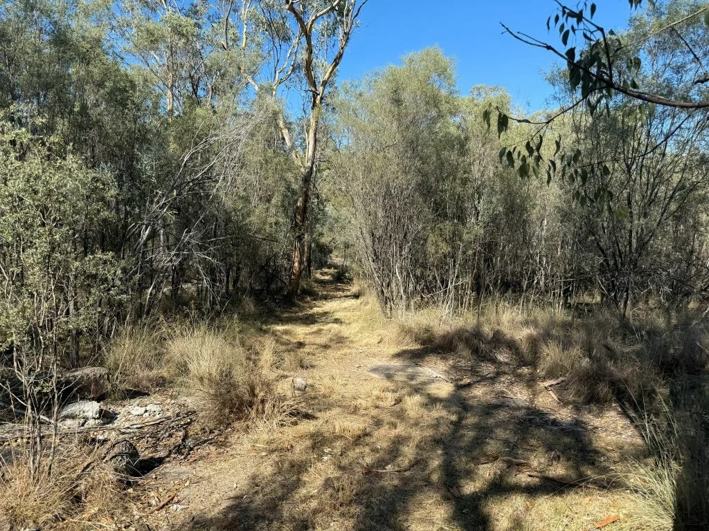 Additional image 39 of 149 Horans Gorge Rd, Fletcher QLD 4381