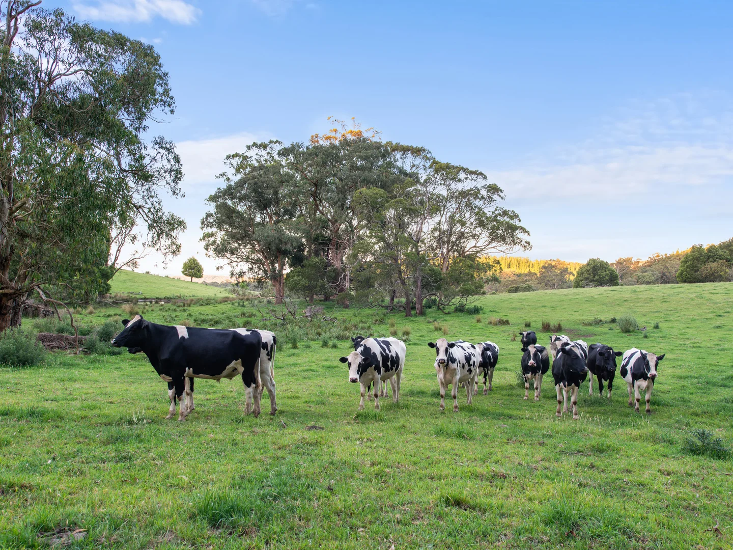 Additional image 32 of 43 Johnsons Lane, Willung South VIC 3847