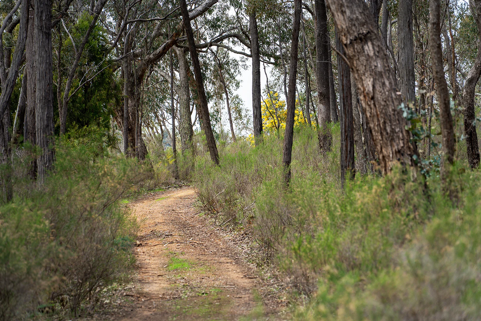 Additional image 15 of 130 Cypress Drive, Elphinstone VIC 3448