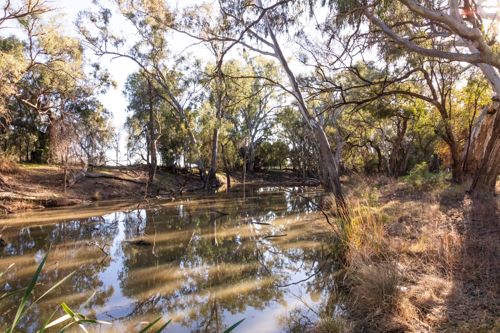 Additional image 20 of Sandy Camp & Kimaroi Sandy Camp Road, Condobolin NSW 2877