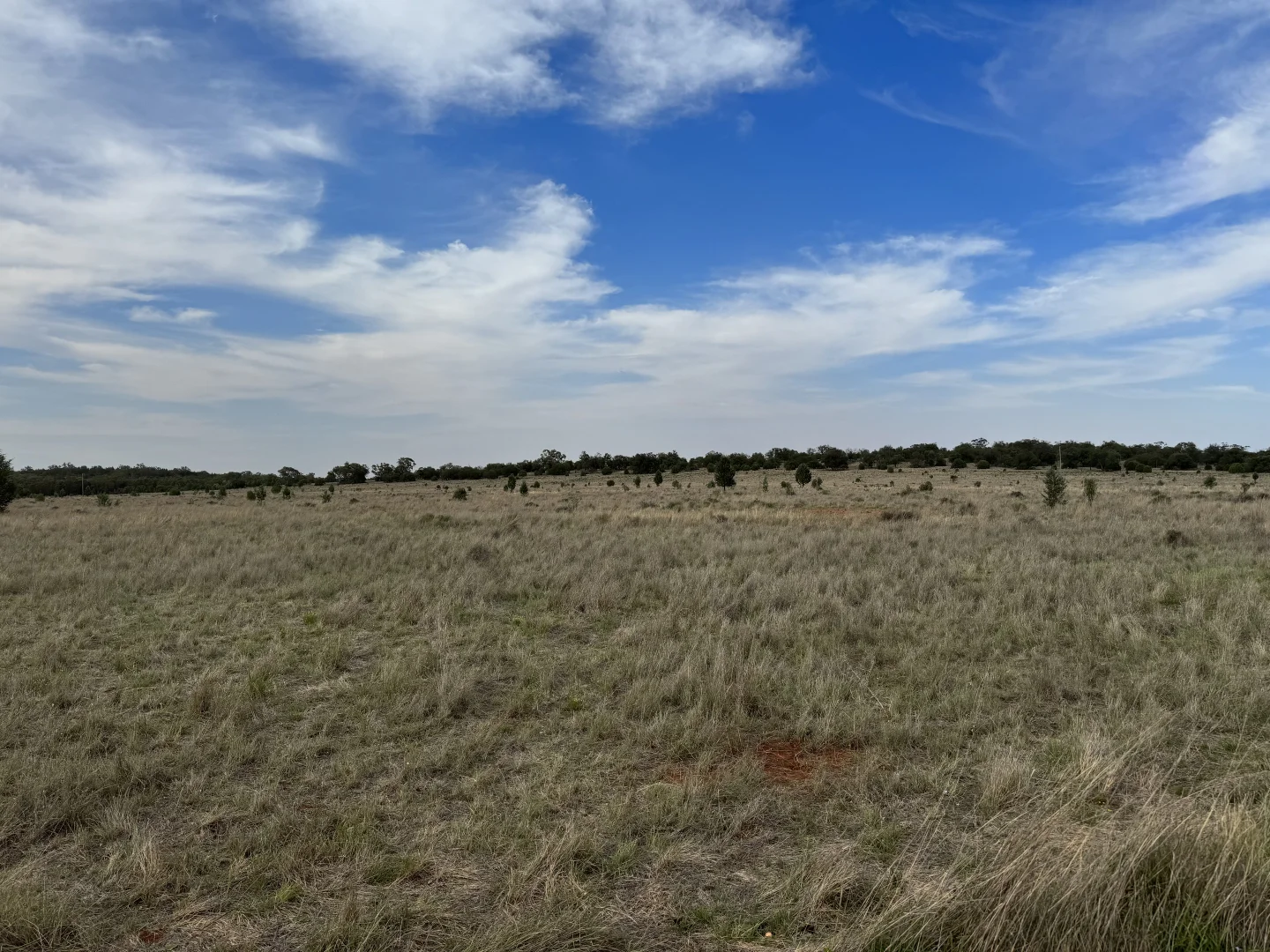 Additional image 24 of 2823 Hermidale Nymagee Road, Hermidale NSW 2831