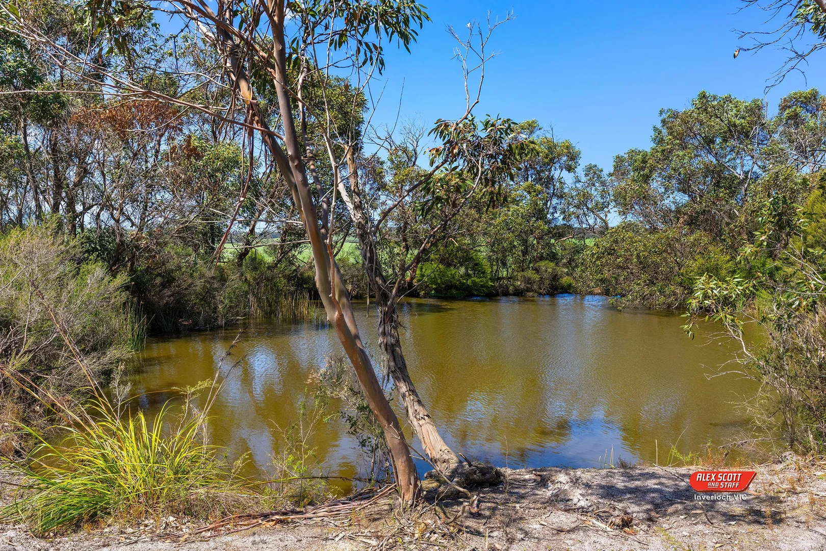 Additional image 5 of 329 Koonwarra Pound Creek Road, Leongatha South VIC 3953