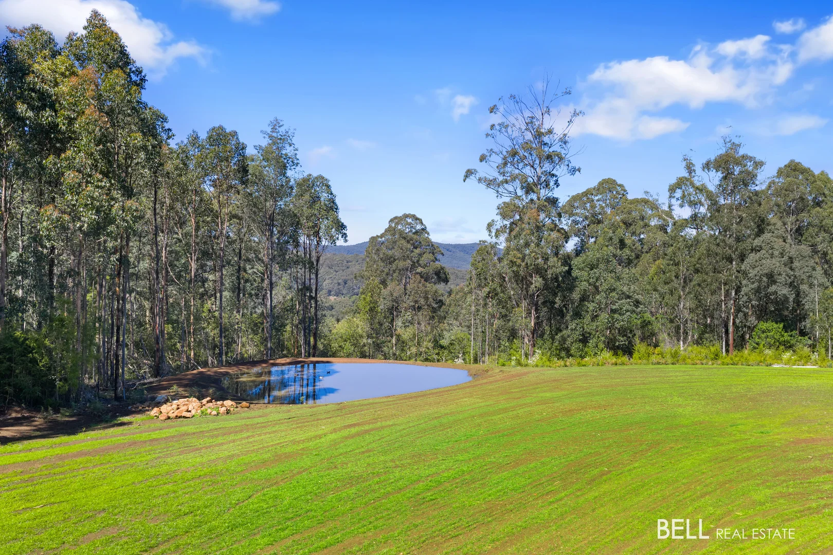 Additional image 13 of 595 Thonemans Road, Hoddles Creek VIC 3139