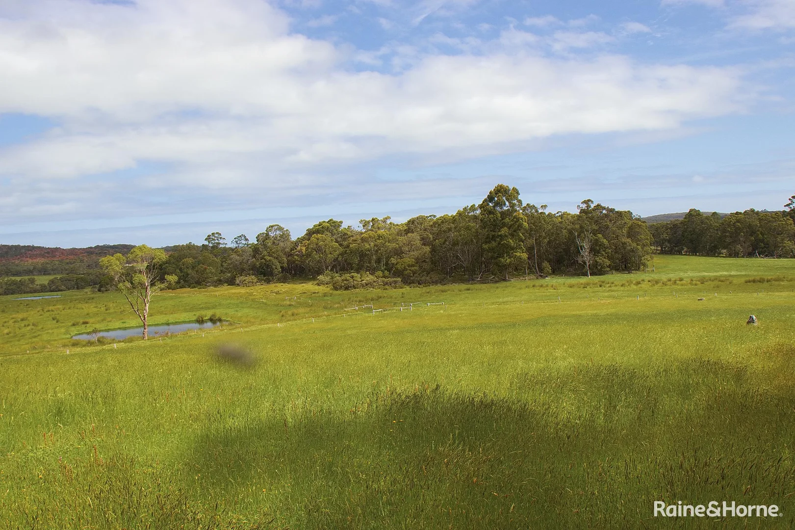 Additional image 8 of 749 Kordabup Road, Kordabup WA 6333
