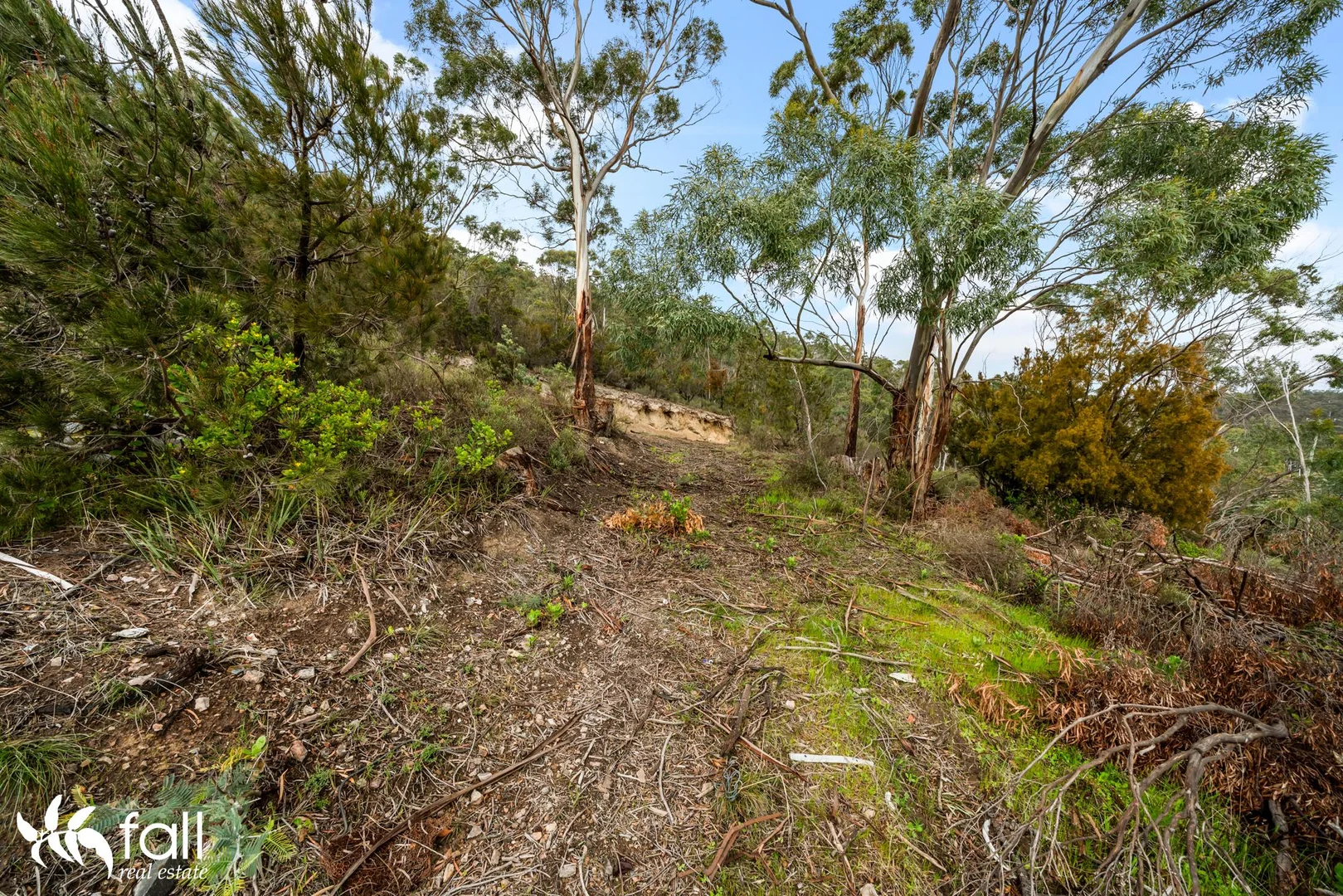 Additional image 9 of 84 Sharland Avenue, New Norfolk TAS 7140