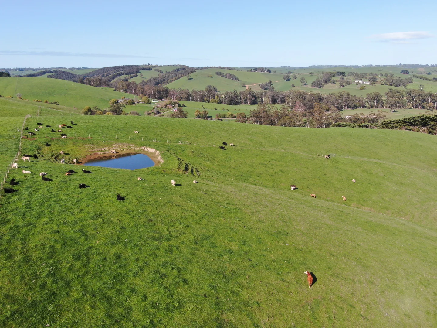 Additional image 12 of Beckett Street, Poowong VIC 3988