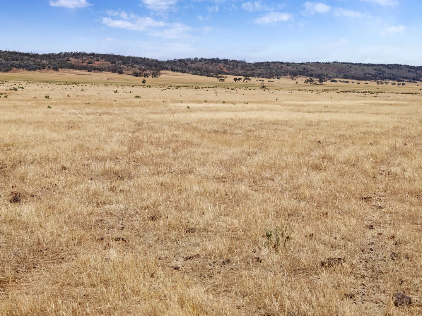 Additional image 10 of 95 Finlay Road, Quorn SA 5433