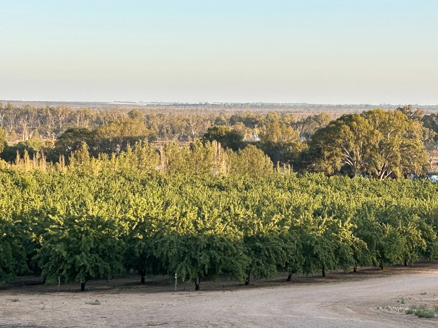 Additional image 29 of 108 Pike Creek Road, Lyrup SA 5343