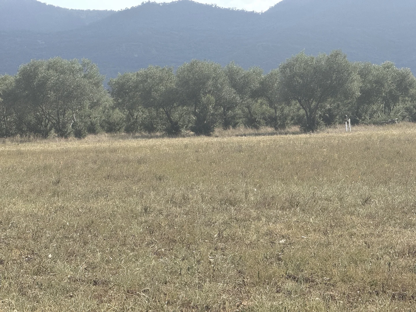 Additional image 46 of 207 Redmanvale Road, Jerrys Plains NSW 2330