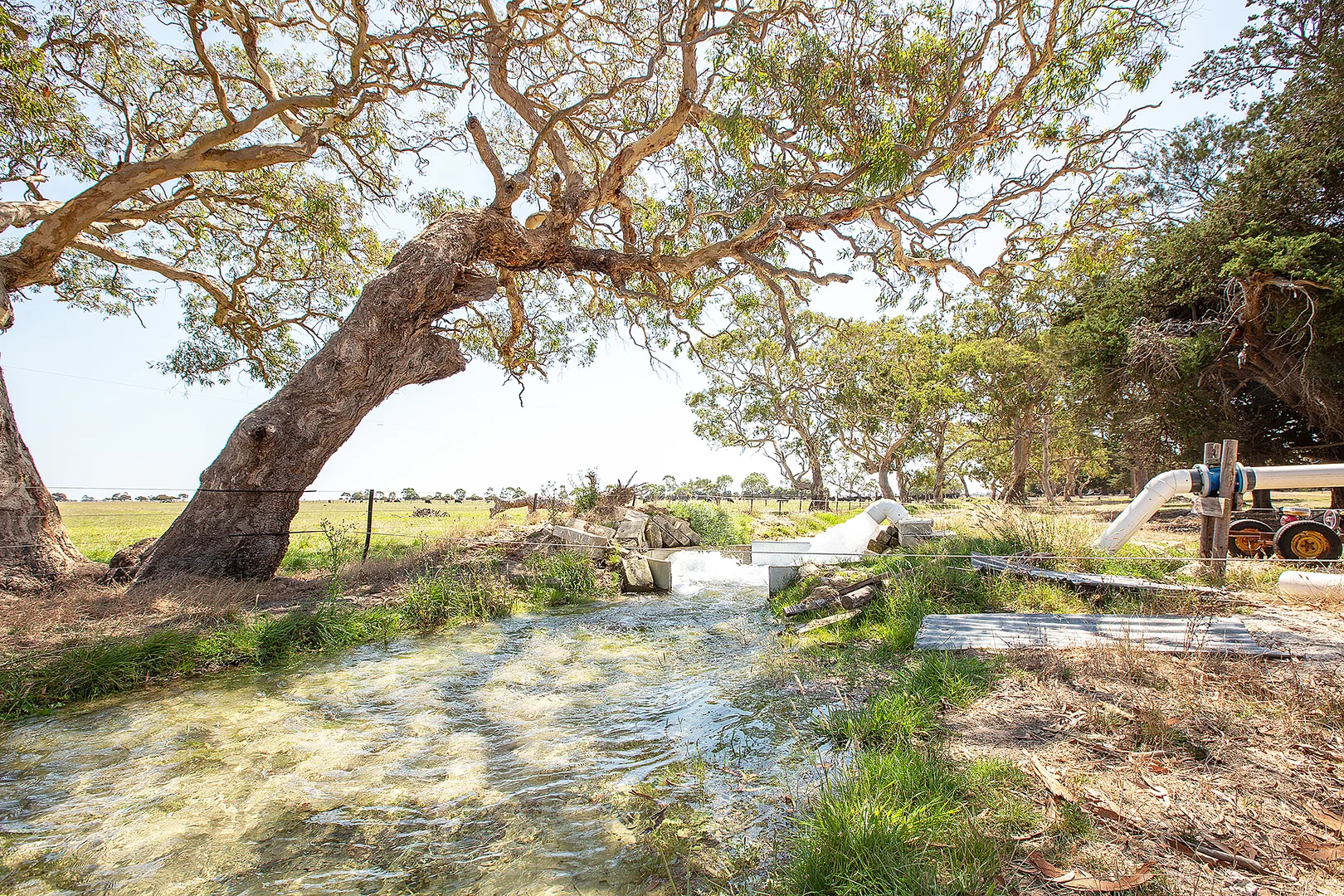 Additional image 10 of 294 Bowaka Road, Kingston Se SA 5275