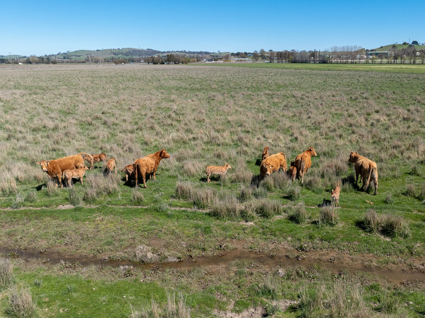Additional image 14 of 3580 Mid Western Highway, Blayney NSW 2799