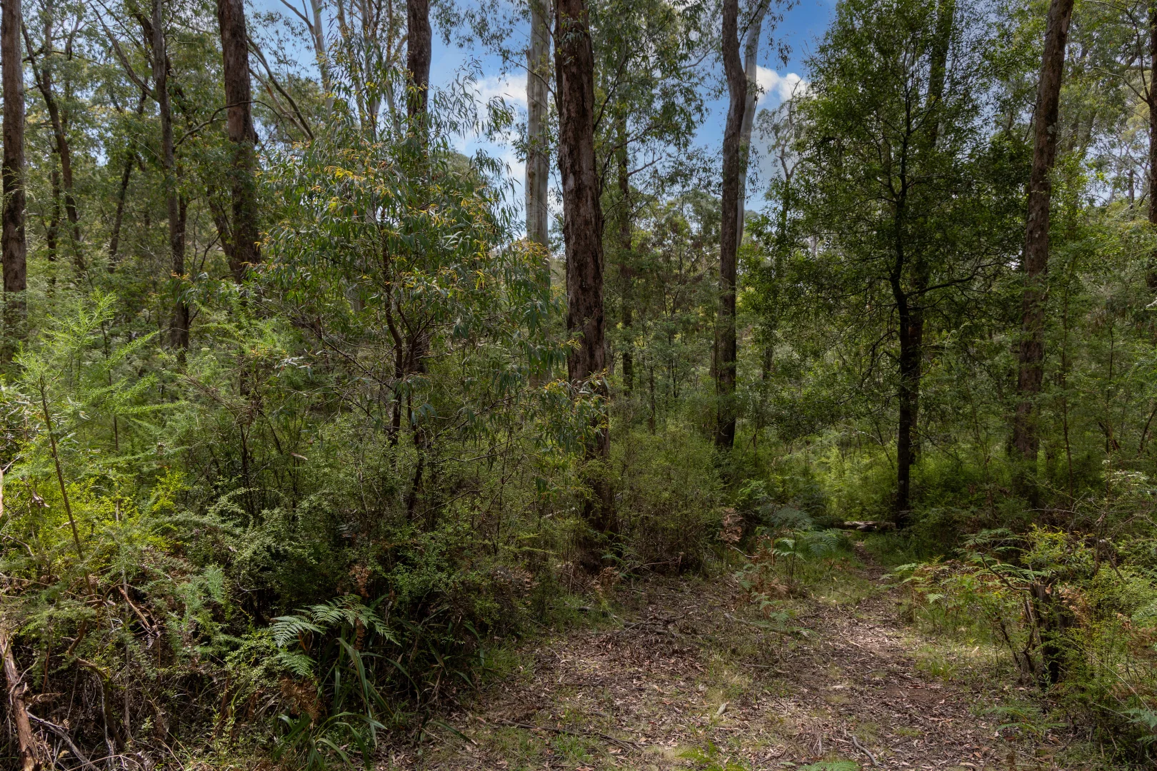 Additional image 6 of CA1 Mansfield-Woods Point Road, Knockwood VIC 3723