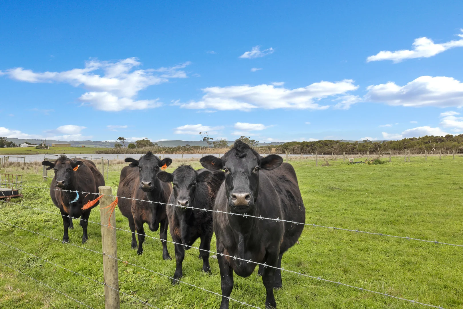 Additional image 4 of 190 Agar Road, Bass VIC 3991