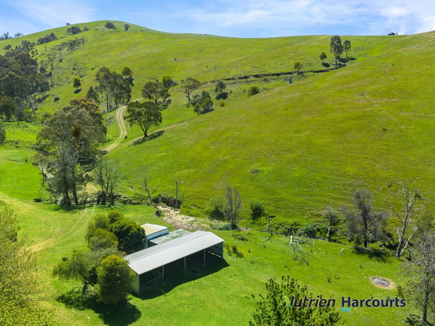 356 Mcnallys Road, Strath Creek VIC 3658