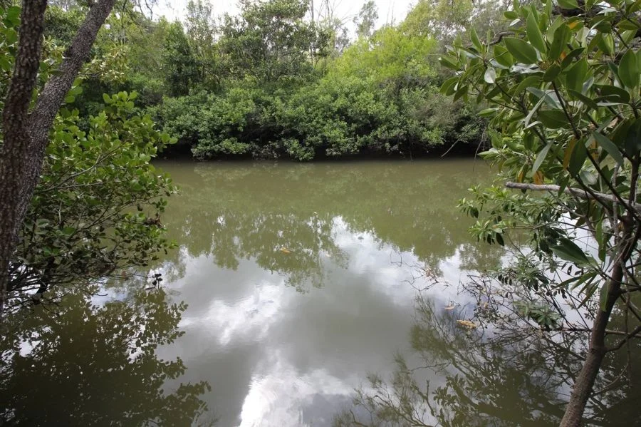 Additional image 31 of 310 MOLLENHAGENS ROAD, Winfield QLD 4670