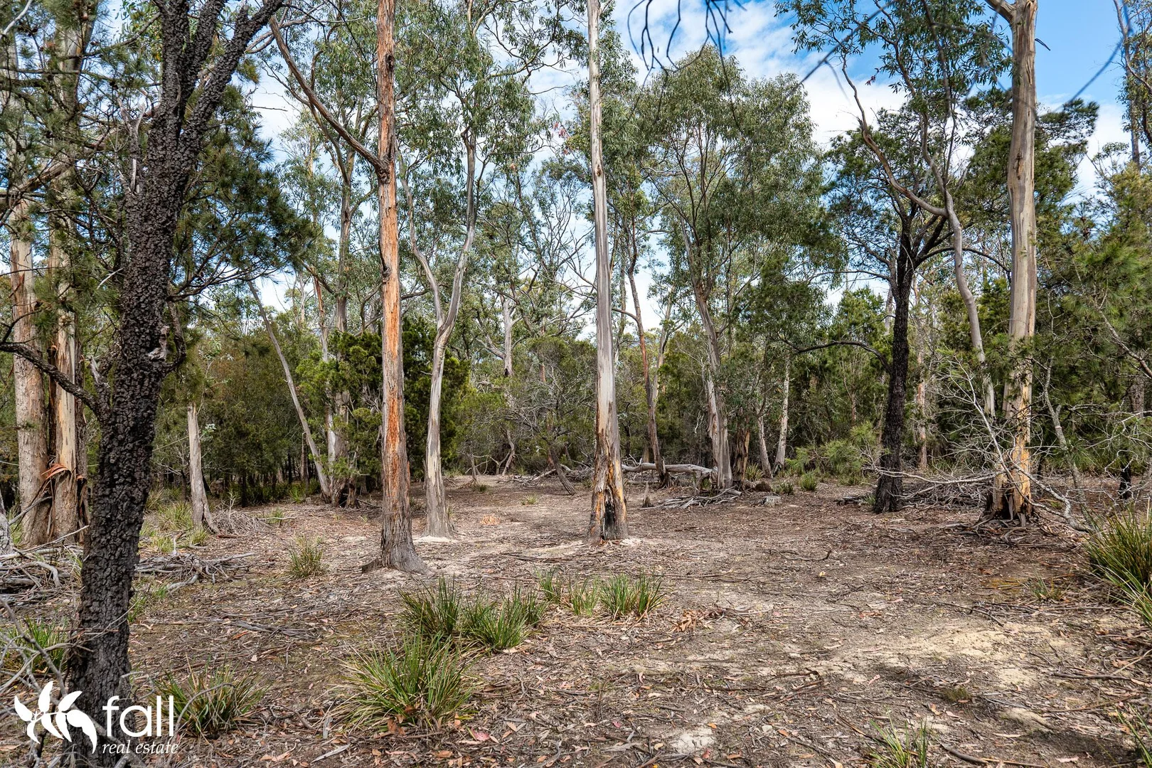 Additional image 14 of 954 Killora Road, North Bruny TAS 7150