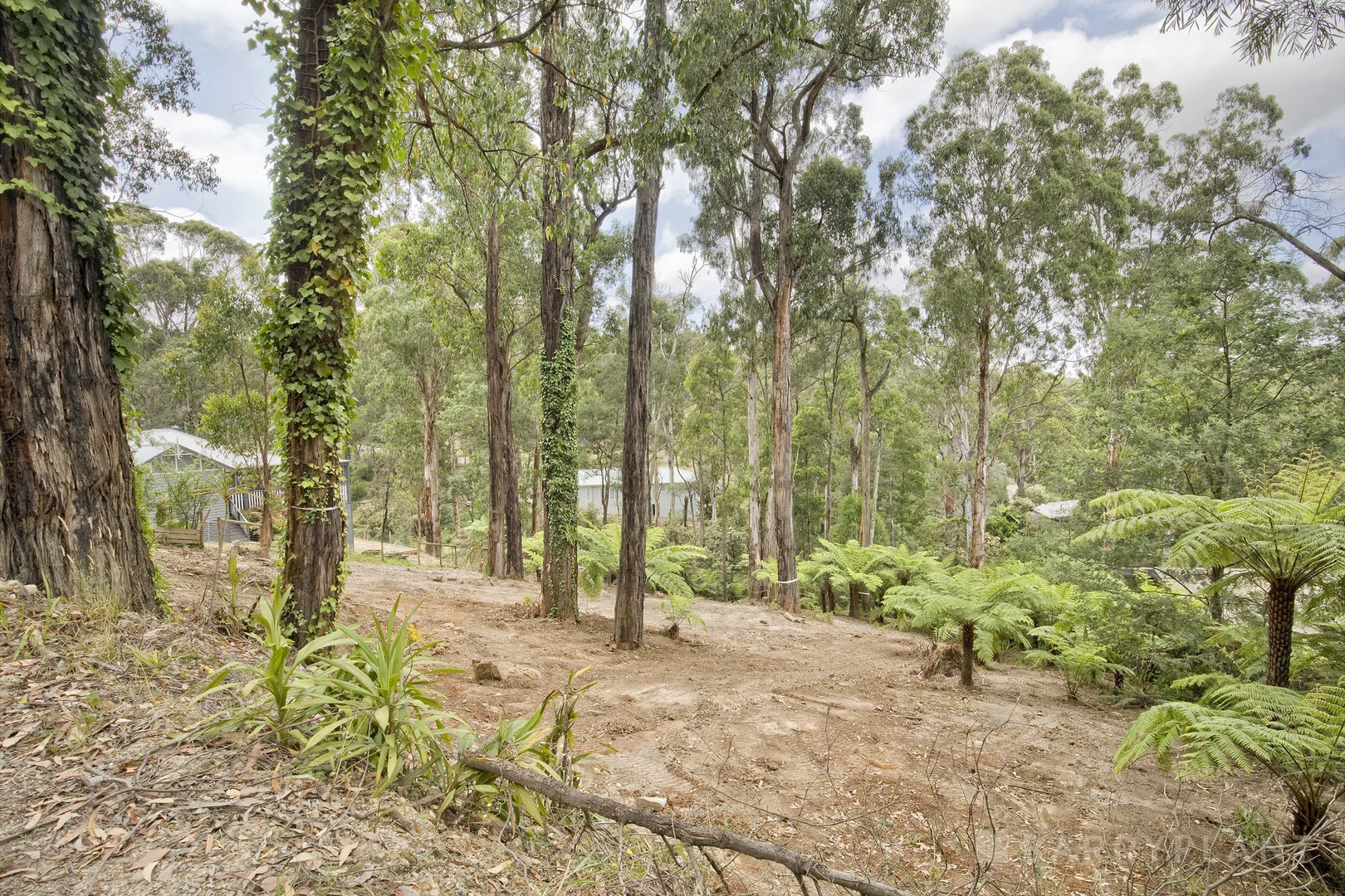 Additional image 3 of 37 Mountain Road, Cockatoo VIC 3781