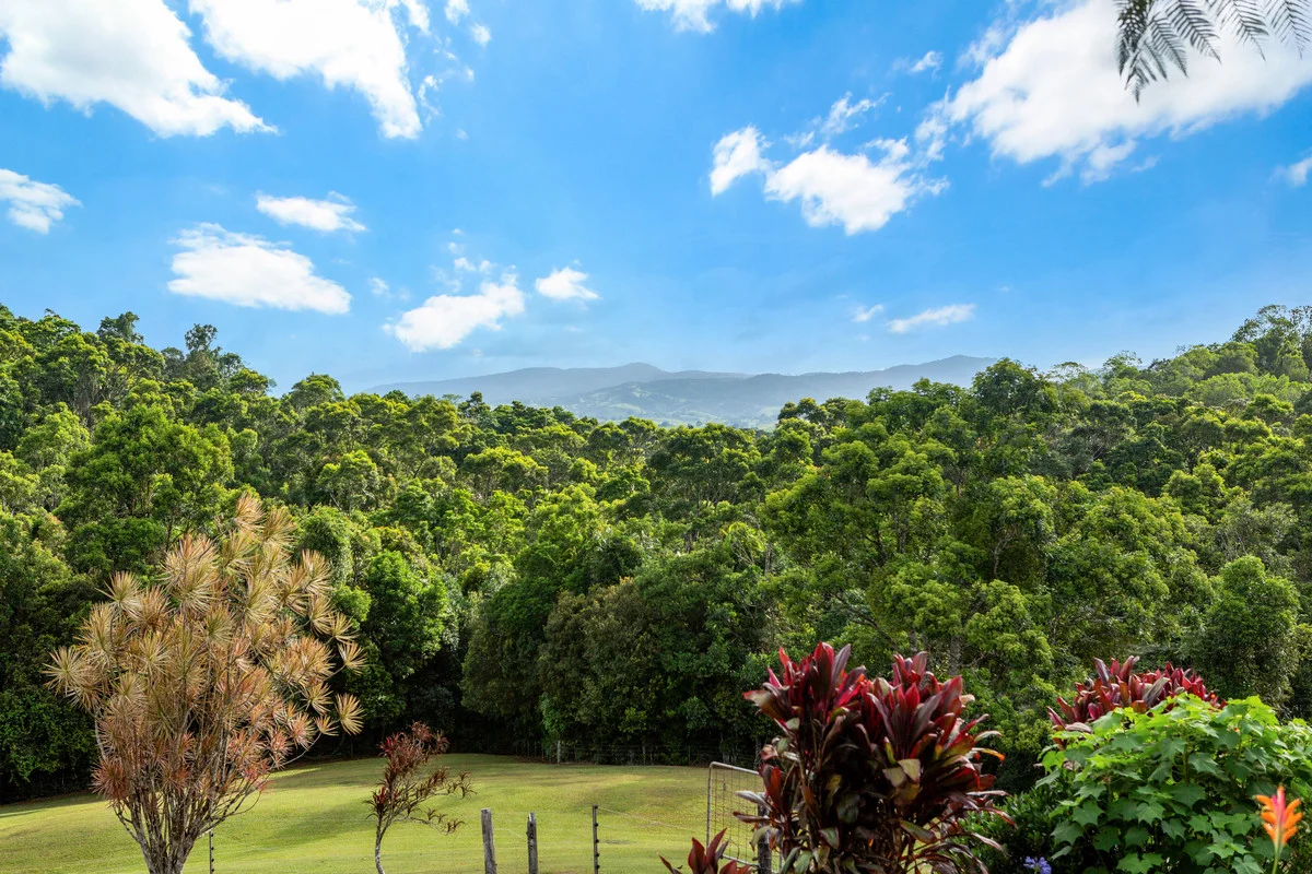 Additional image 31 of 222 Hitchconole Road, Tarzali QLD 4885