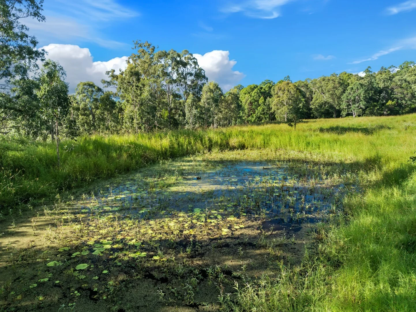 Additional image 19 of 62-69 Duck Creek Road, Bonalbo NSW 2469