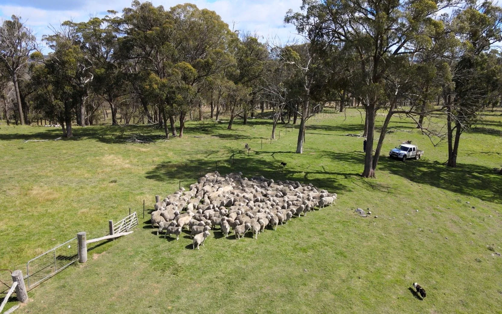 Additional image 6 of 1815 Hillview Road, Uralla NSW 2358